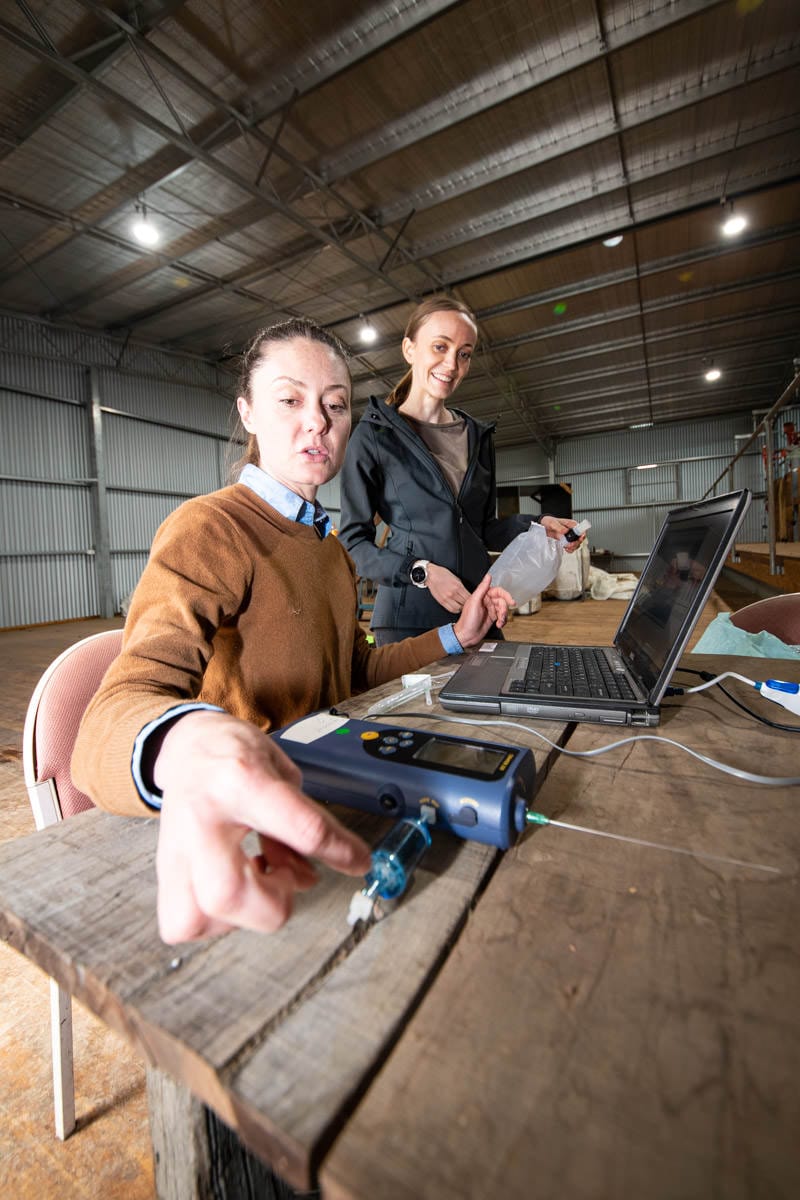 Business owner and researcher collaborating in warehouse
